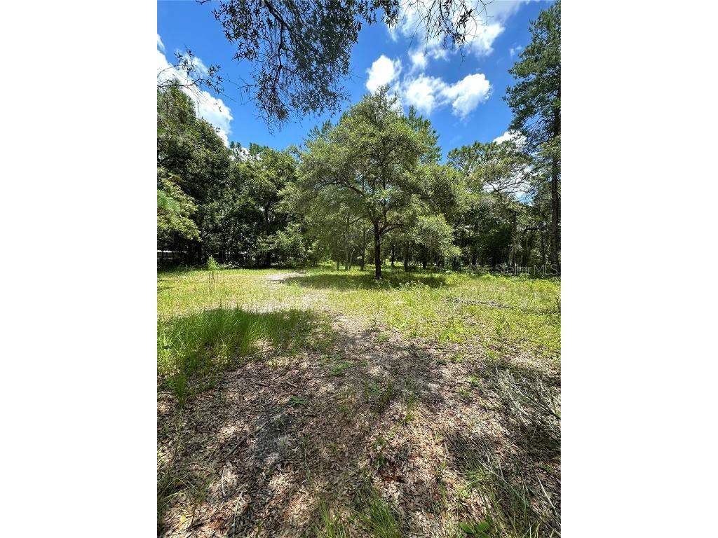 18223 Rigsby Road Spring Hill FL 34610 T3542144 image1