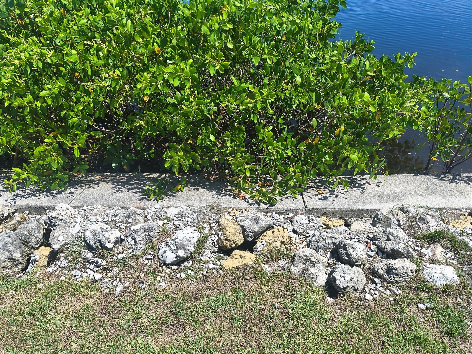18226 Petoskey Circle Port Charlotte FL 33948 - MANCHESTER WATERWAY C7526918 image12