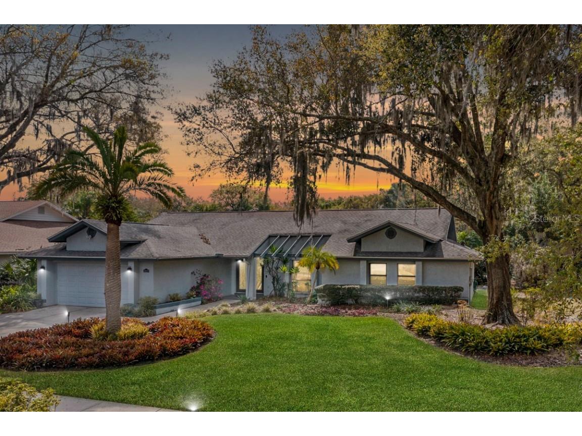 18227 Clear Lake Drive Lutz FL 33548 T3430715 image1