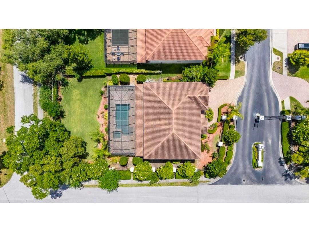 1823 Bella Casa Court Tampa FL 33618 TB8513537 image5