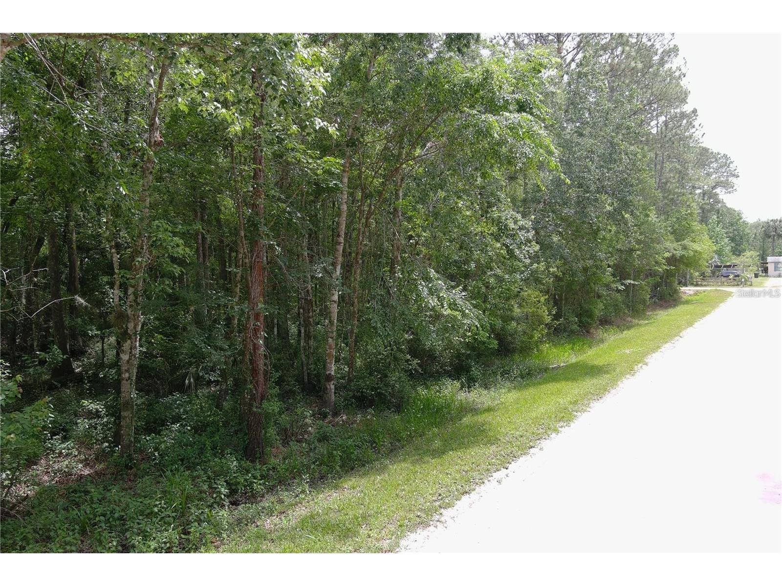 1823 Honeytree Street Bunnell FL 32110 FC315583 image2