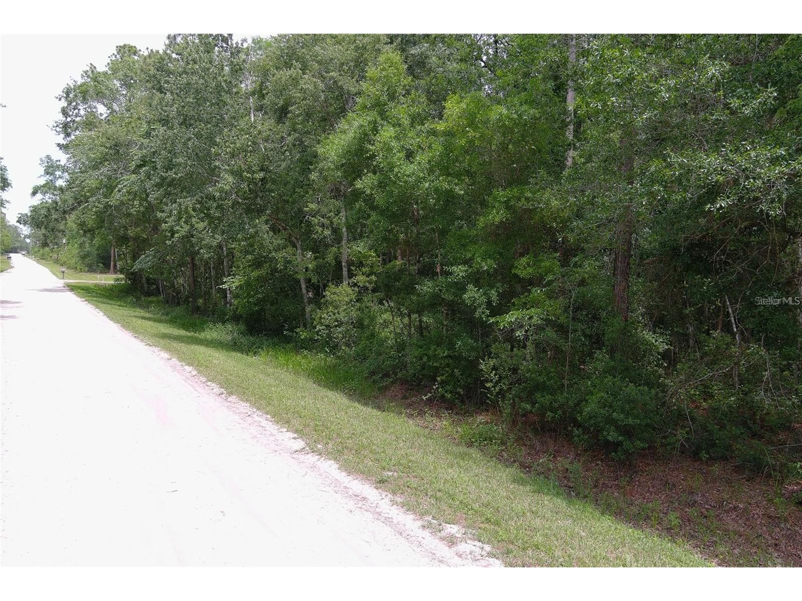 1823 Honeytree Street Bunnell FL 32110 FC315583 image3