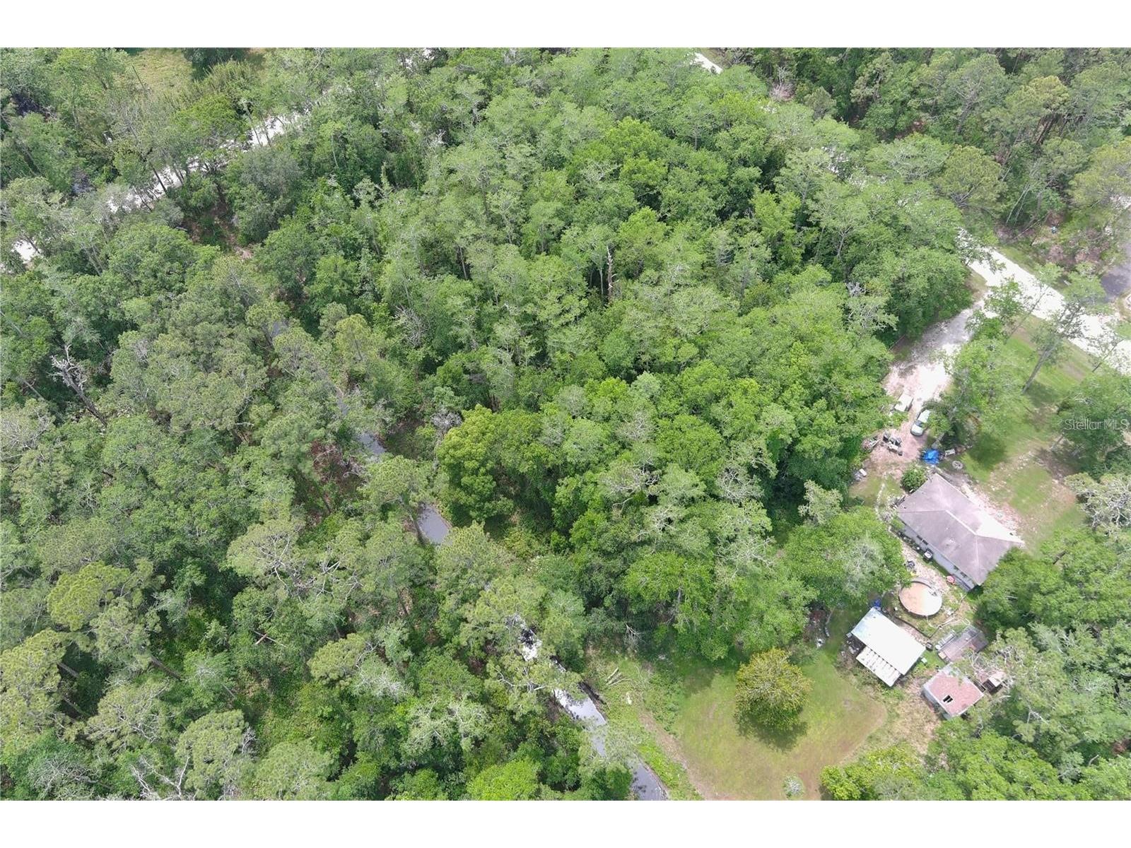 1823 Honeytree Street Bunnell FL 32110 FC315583 image4