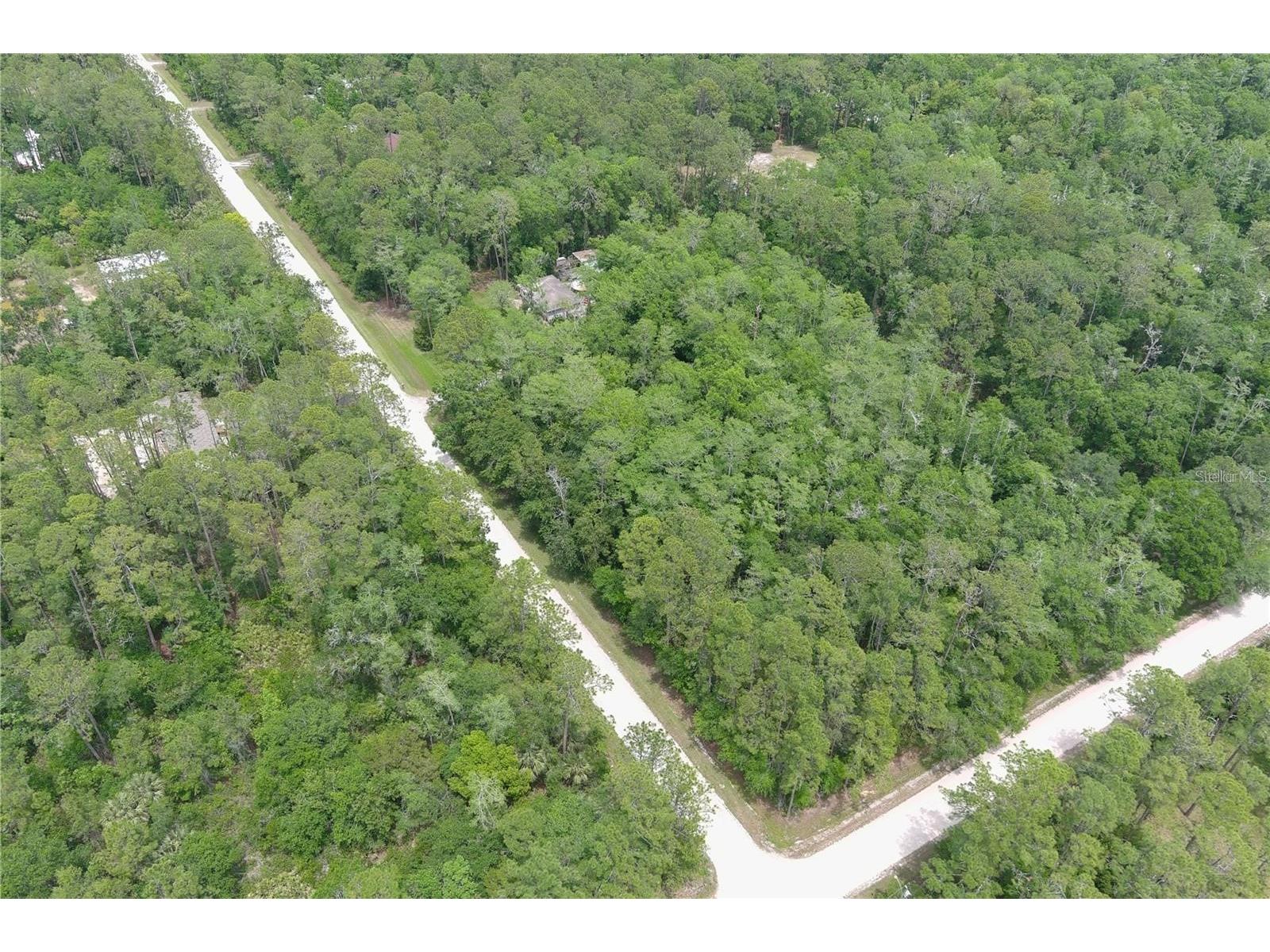 1823 Honeytree Street Bunnell FL 32110 FC315583 image5