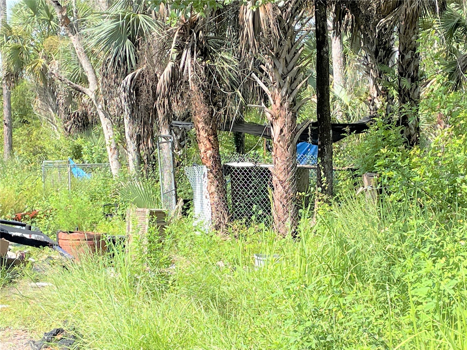 1823 Inspiration Court Lehigh Acres FL 33972 TB8474002 image3