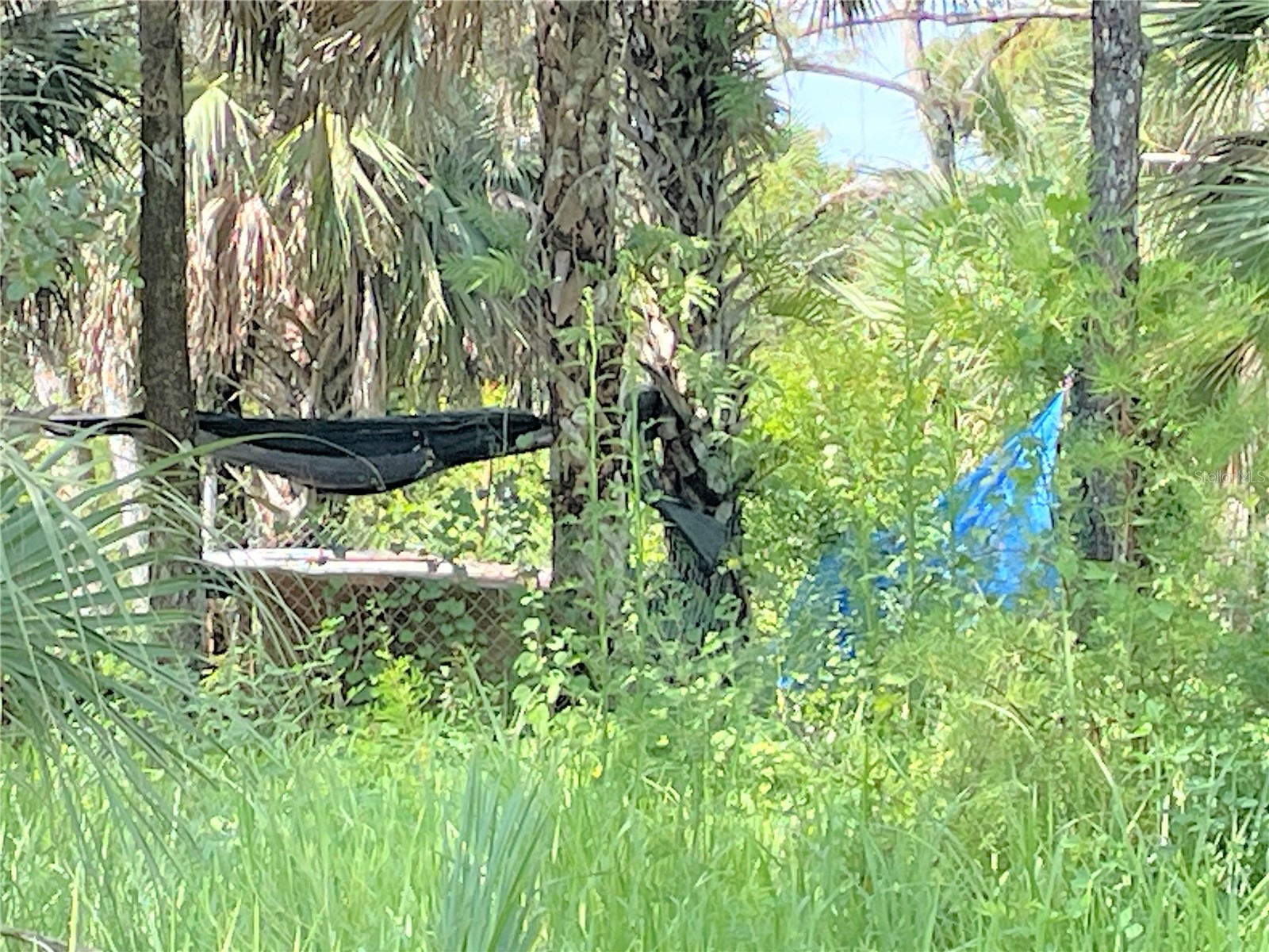 1823 Inspiration Court Lehigh Acres FL 33972 TB8474002 image4