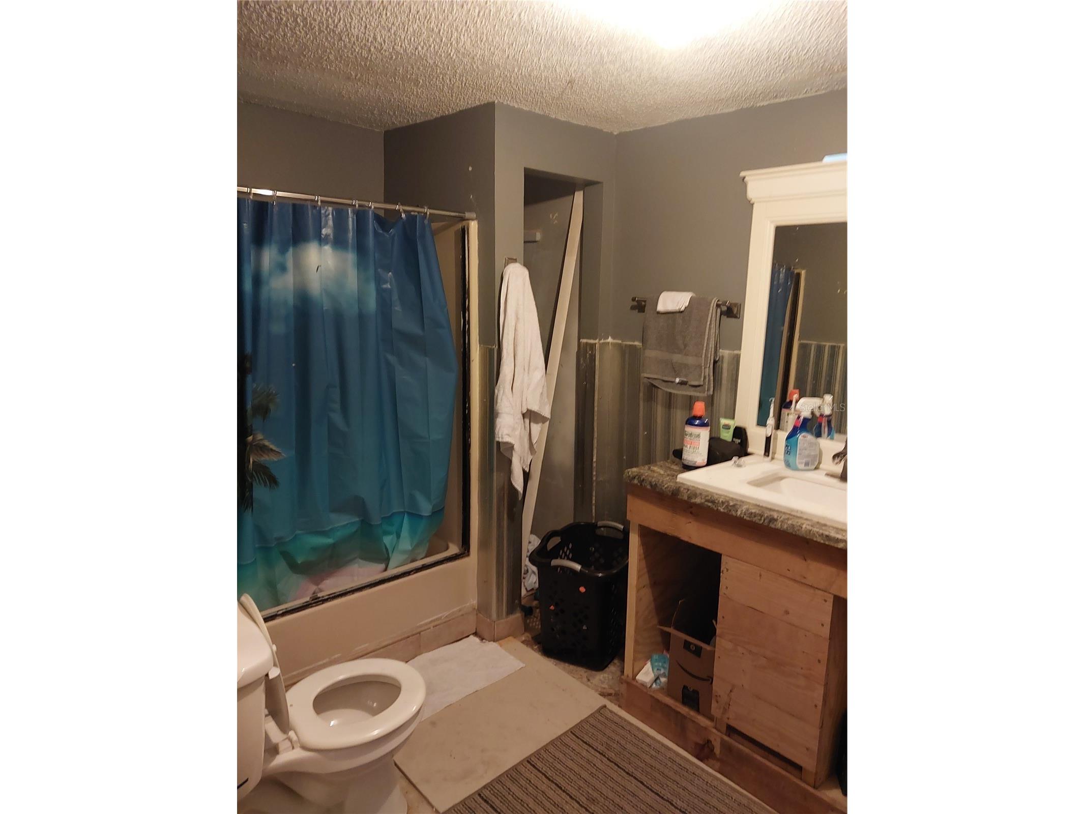 1823 Welcome Road Lithia FL 33547 TB8471346 image22