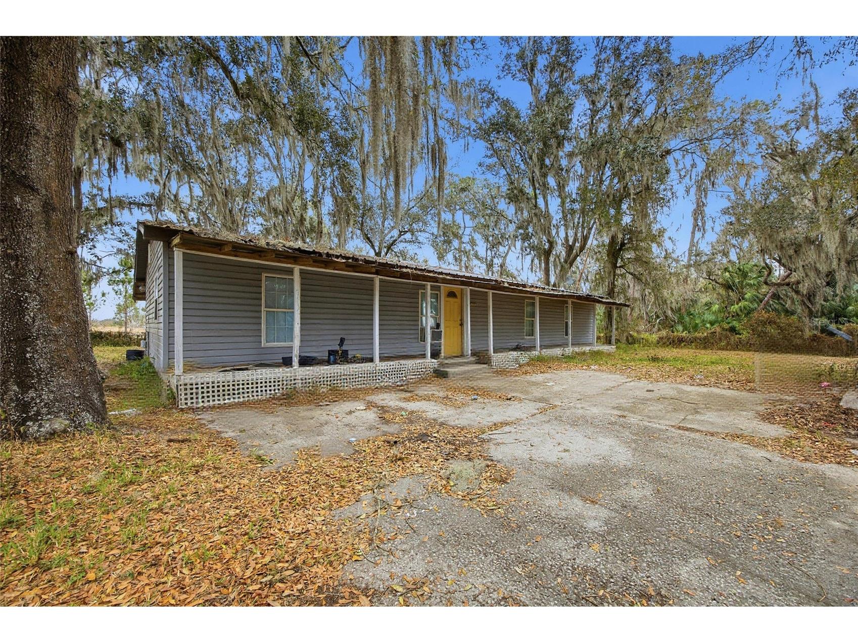 1823 Welcome Road Lithia FL 33547 TB8471346 image6