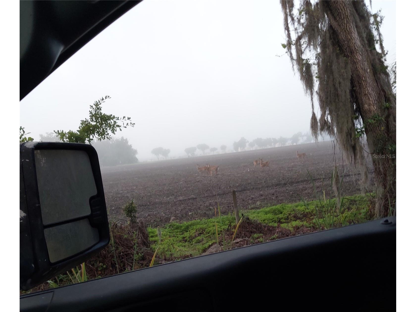1823 Welcome Road Lithia FL 33547 TB8471375 image3