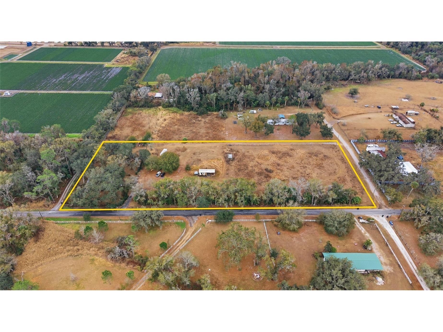 1823 Welcome Road Lithia FL 33547 TB8471375 image8