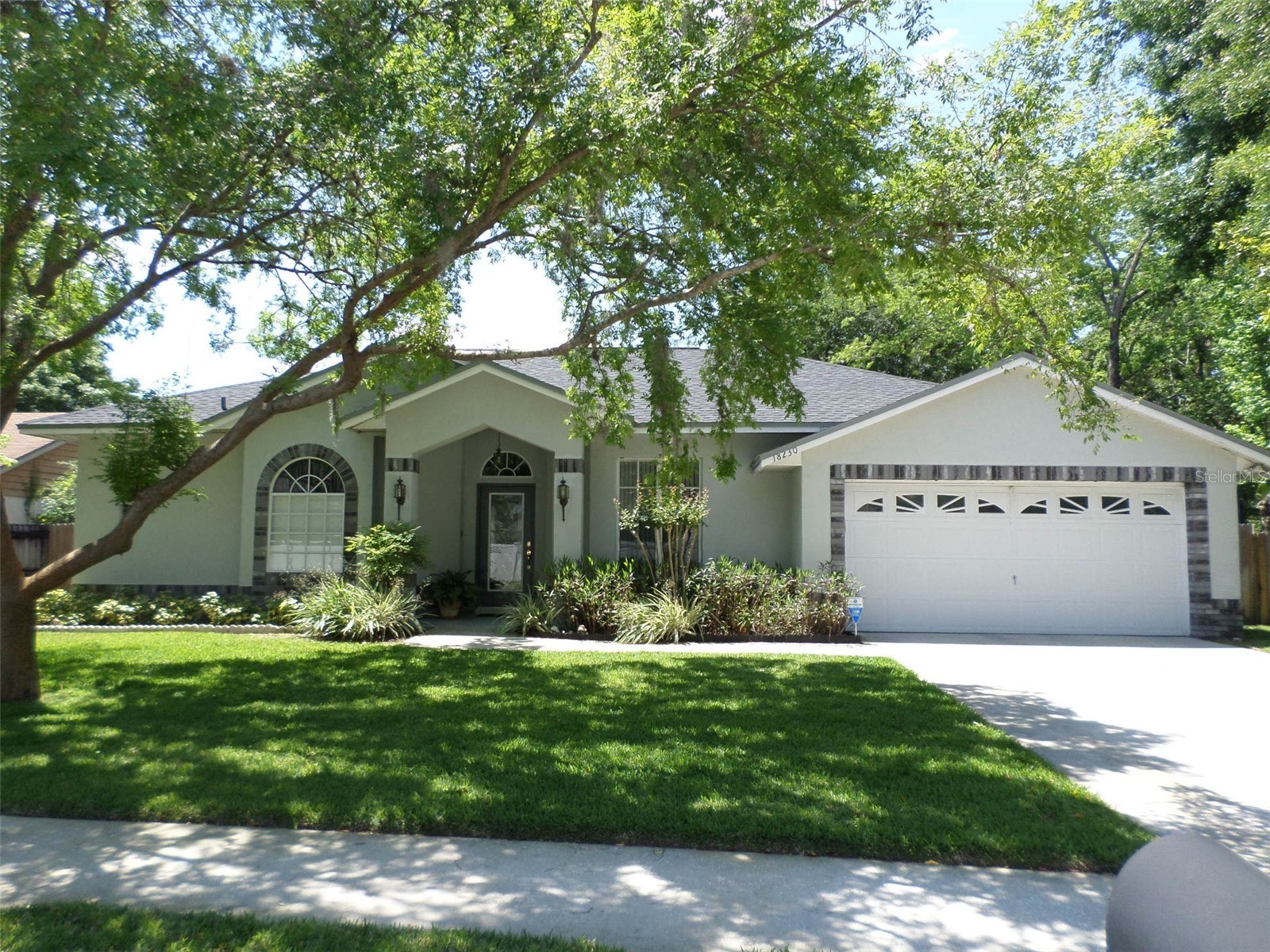 18230 Dolly Brook Lane Lutz FL 33549 TB8466437 image1