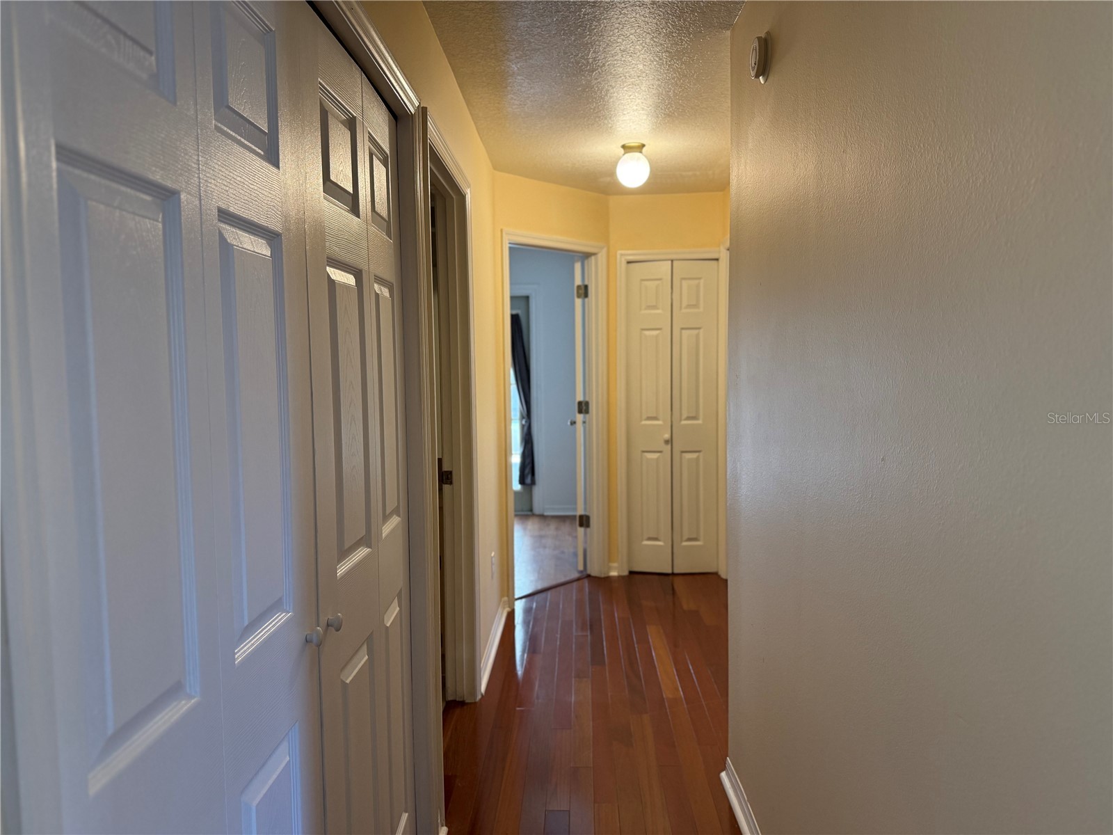 18230 Dolly Brook Lane Lutz FL 33549 TB8466437 image17