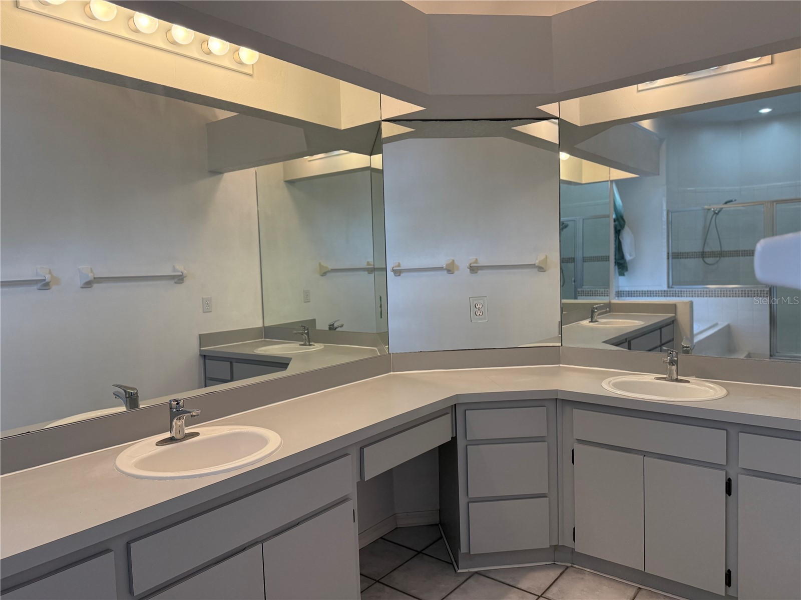 18230 Dolly Brook Lane Lutz FL 33549 TB8466437 image8