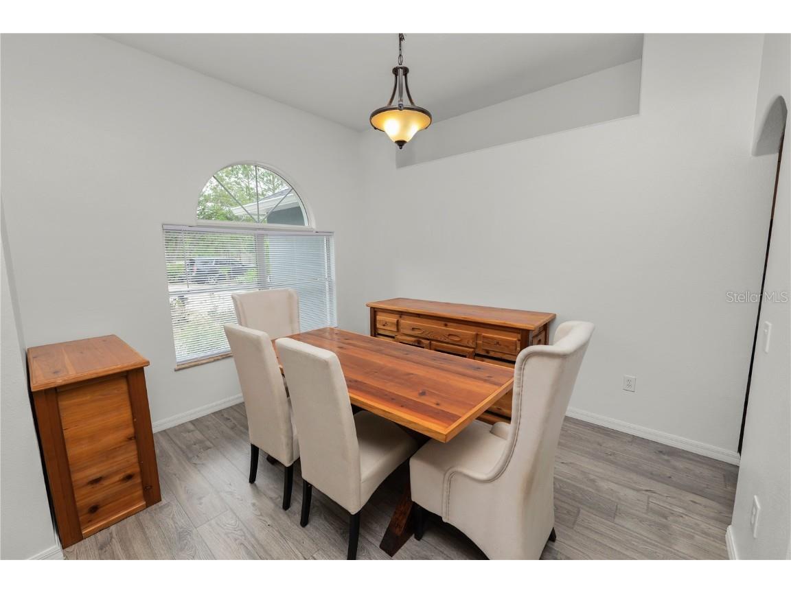 18231 Commonwealth Avenue N Polk City FL 33868 L4954874 image8