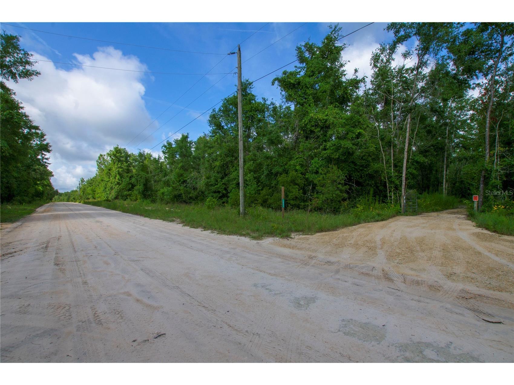 18233 185th Rd Live Oak FL 32060 TB8508929 image10