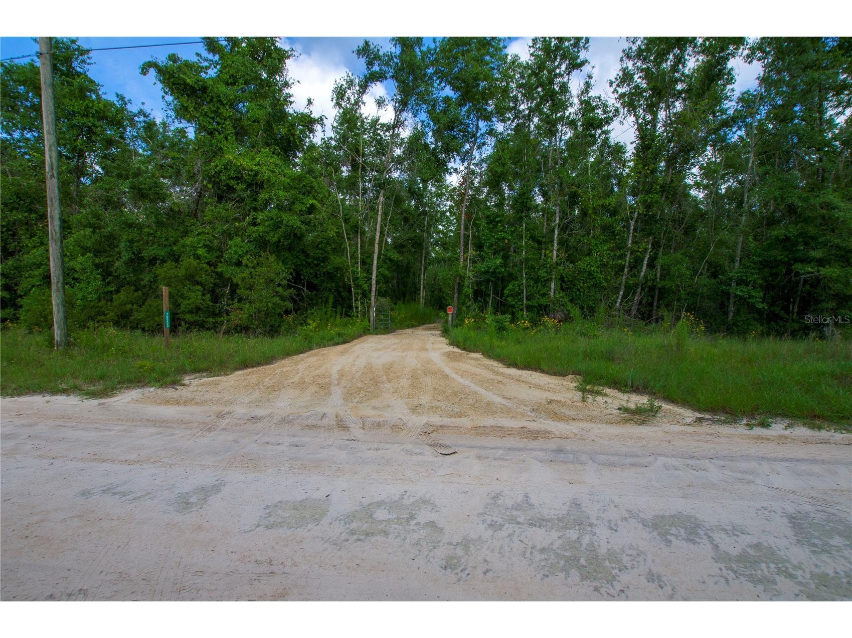 18233 185th Rd Live Oak FL 32060 TB8508929 image11