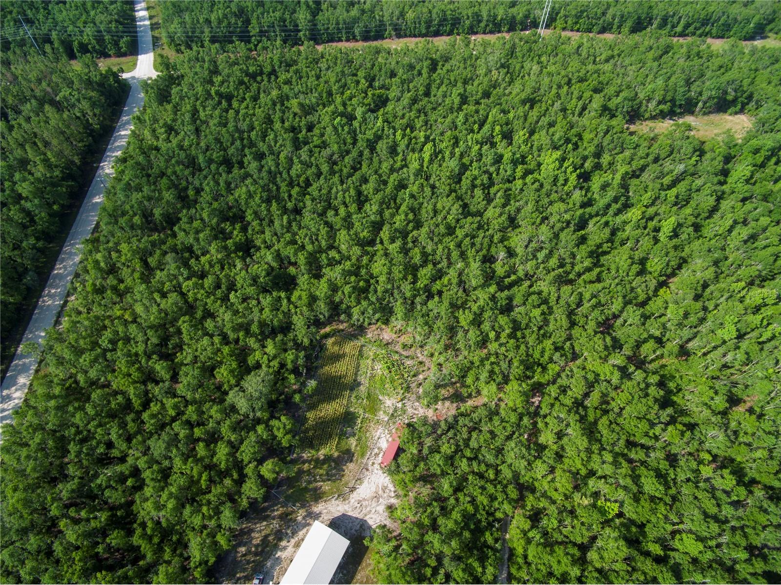 18233 185th Rd Live Oak FL 32060 TB8508929 image3