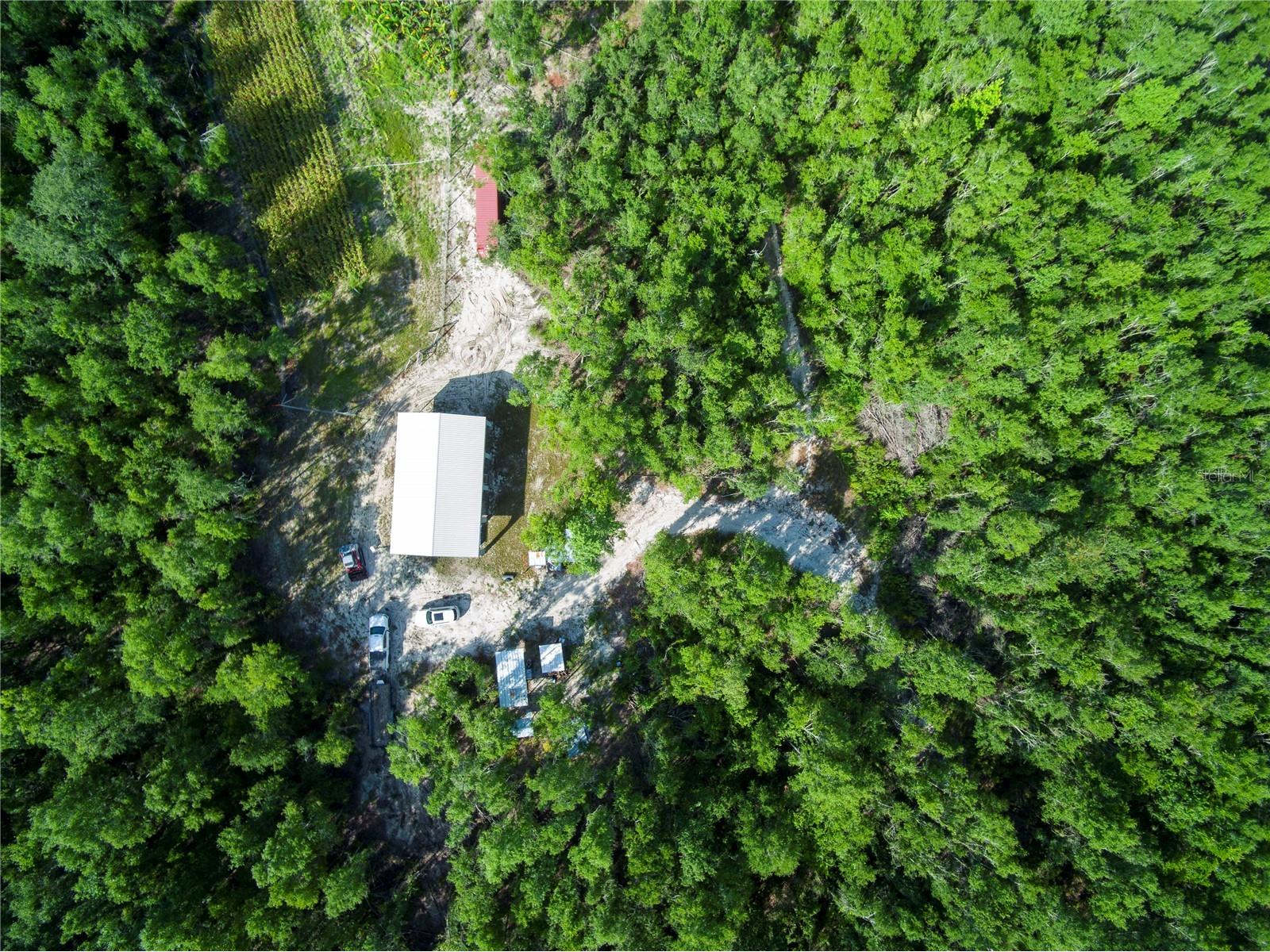 18233 185th Rd Live Oak FL 32060 TB8508929 image38