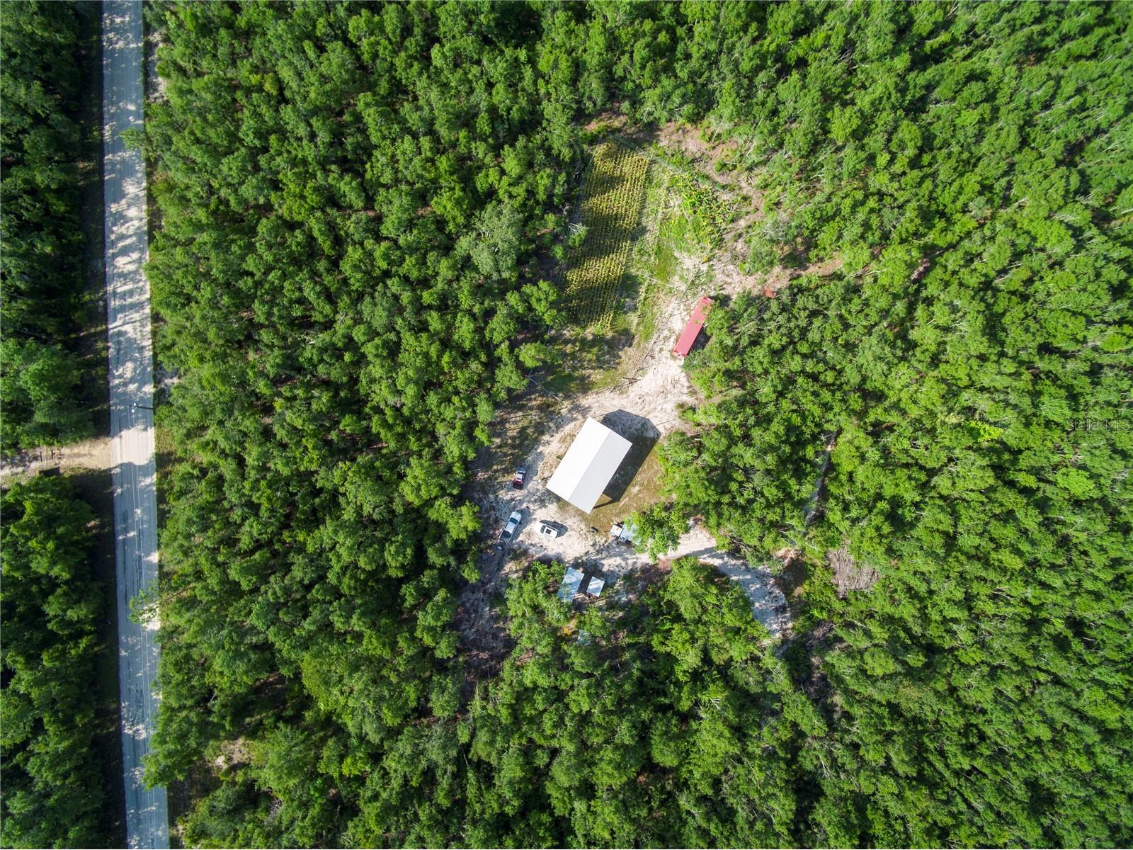 18233 185th Rd Live Oak FL 32060 TB8508929 image39