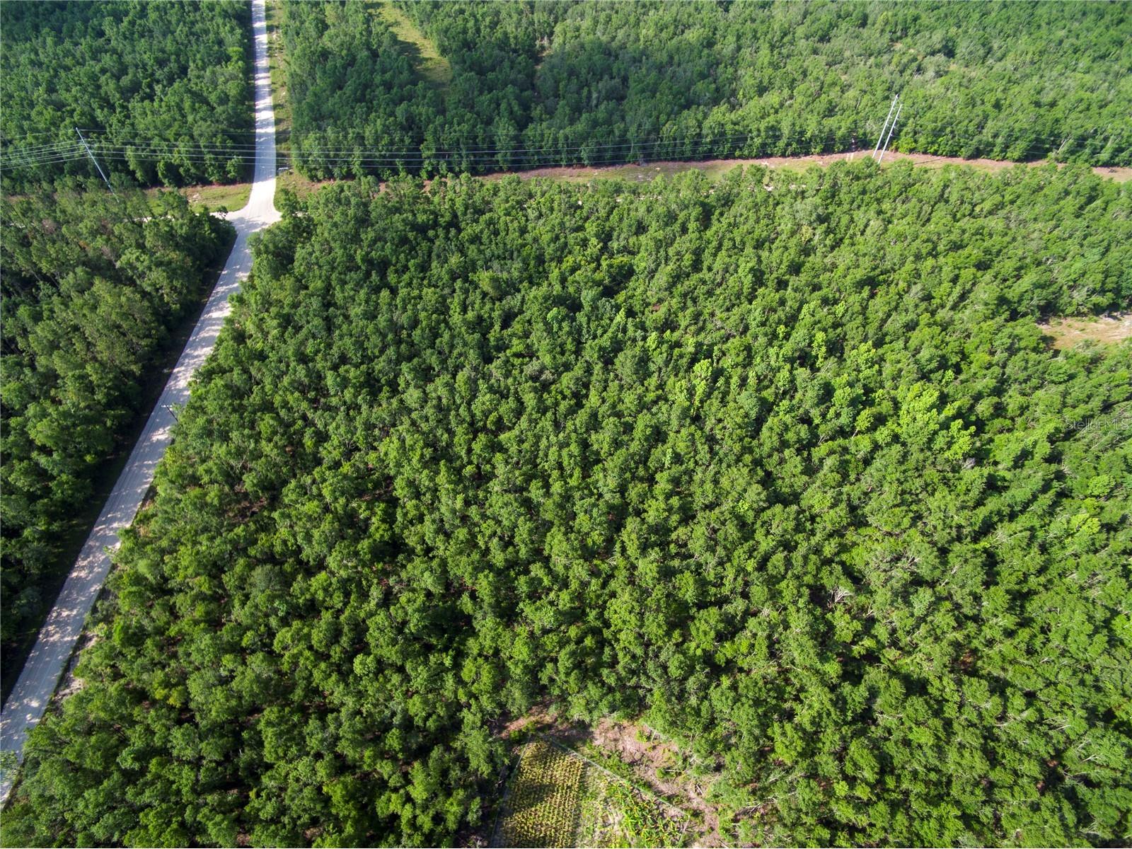 18233 185th Rd Live Oak FL 32060 TB8508929 image42