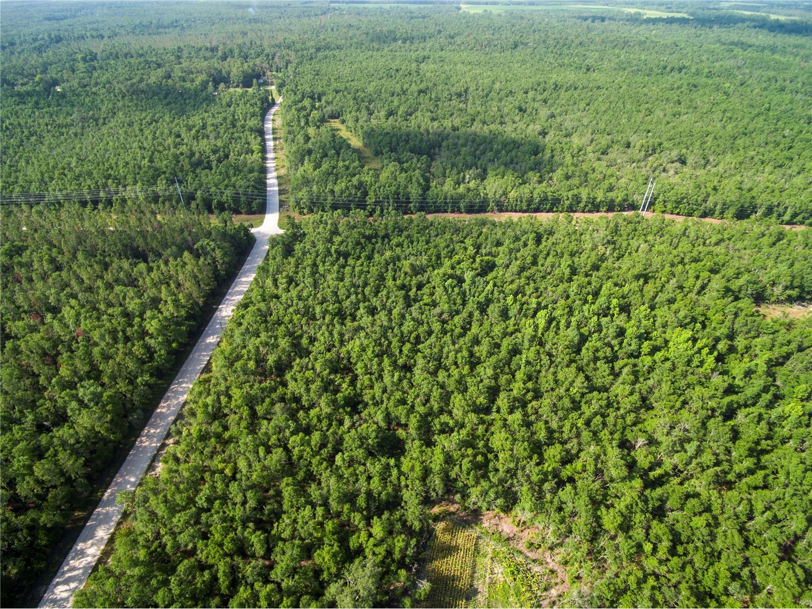 18233 185th Rd Live Oak FL 32060 TB8508929 image43