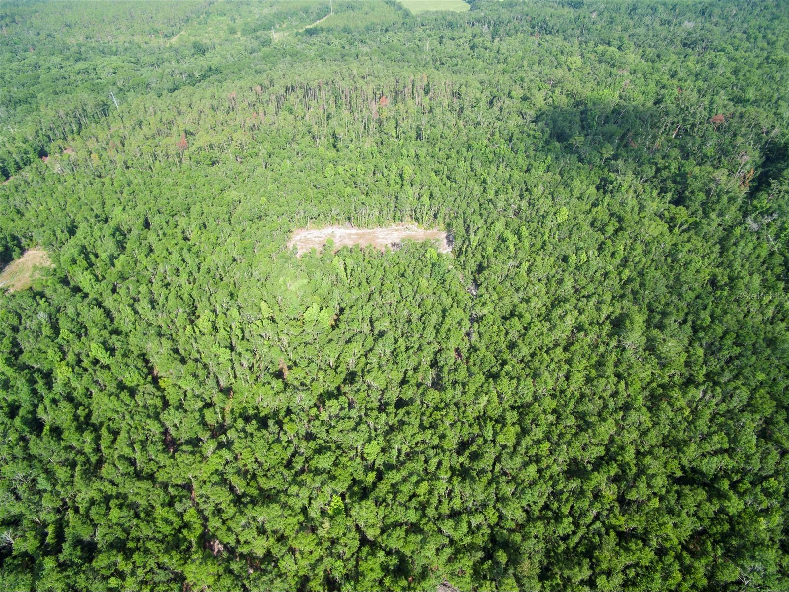18233 185th Rd Live Oak FL 32060 TB8508929 image45