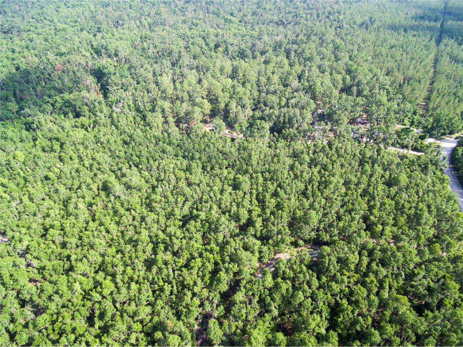 18233 185th Rd Live Oak FL 32060 TB8508929 image5