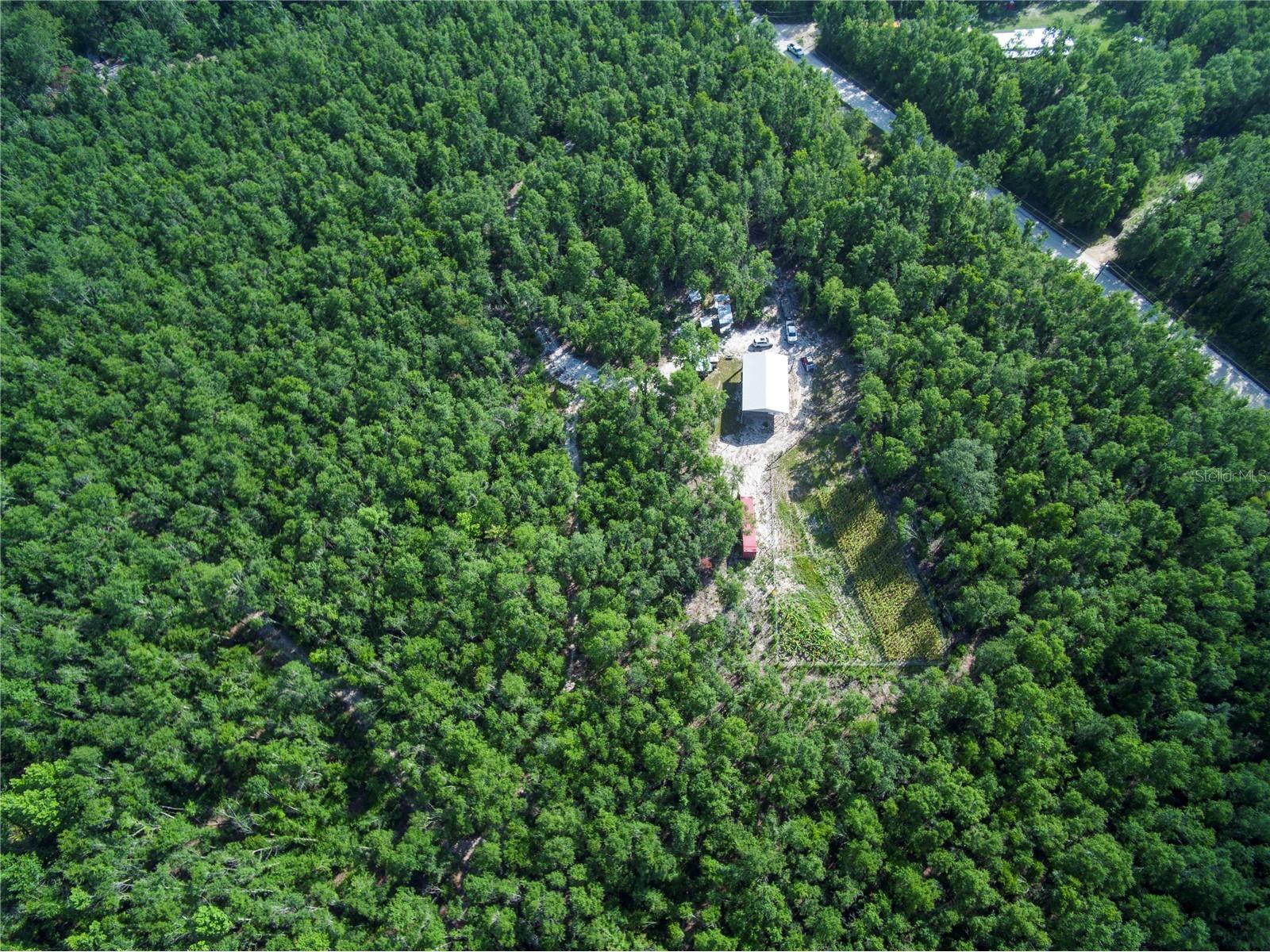 18233 185th Rd Live Oak FL 32060 TB8508929 image51