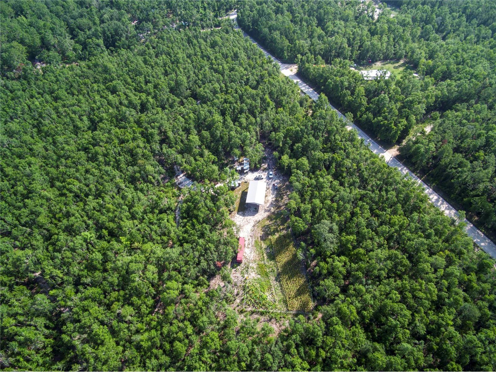 18233 185th Rd Live Oak FL 32060 TB8508929 image52