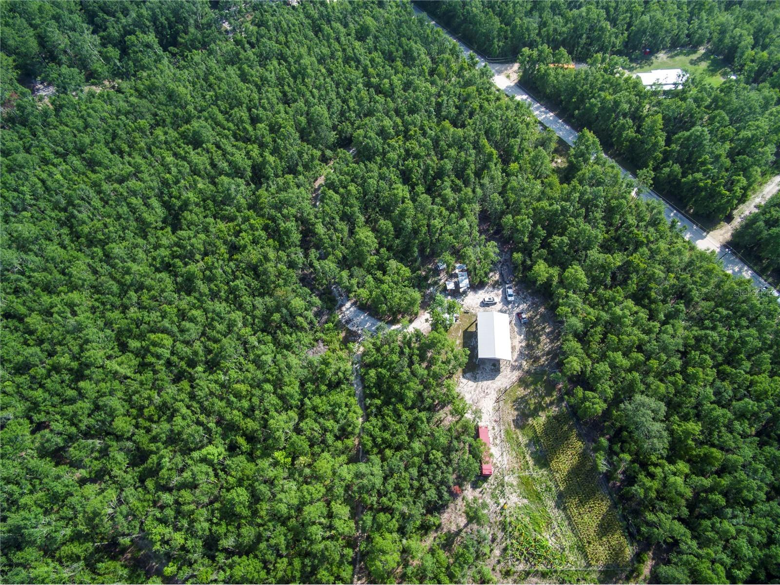 18233 185th Rd Live Oak FL 32060 TB8508929 image53