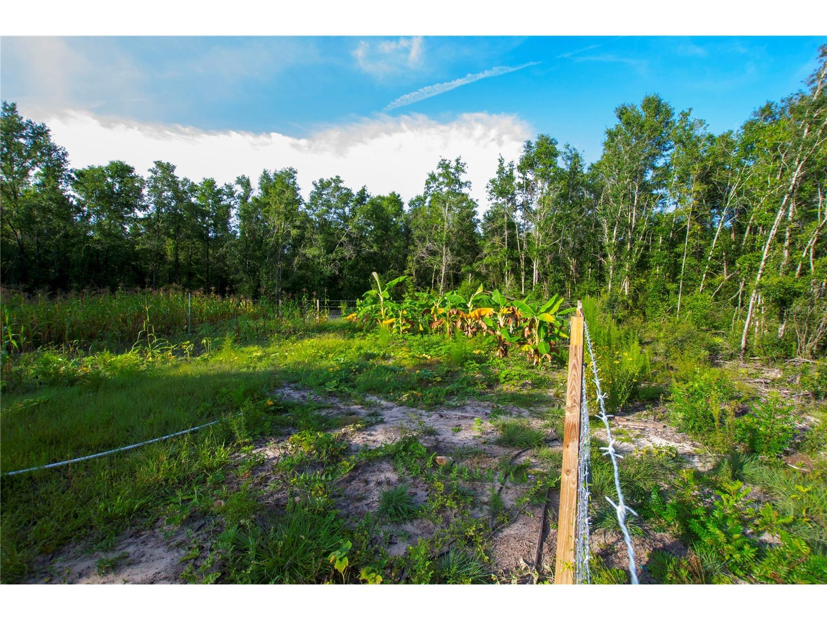 18233 185th Rd Live Oak FL 32060 TB8508929 image54