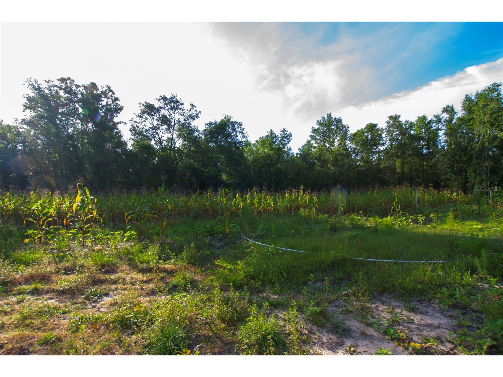 18233 185th Rd Live Oak FL 32060 TB8508929 image55