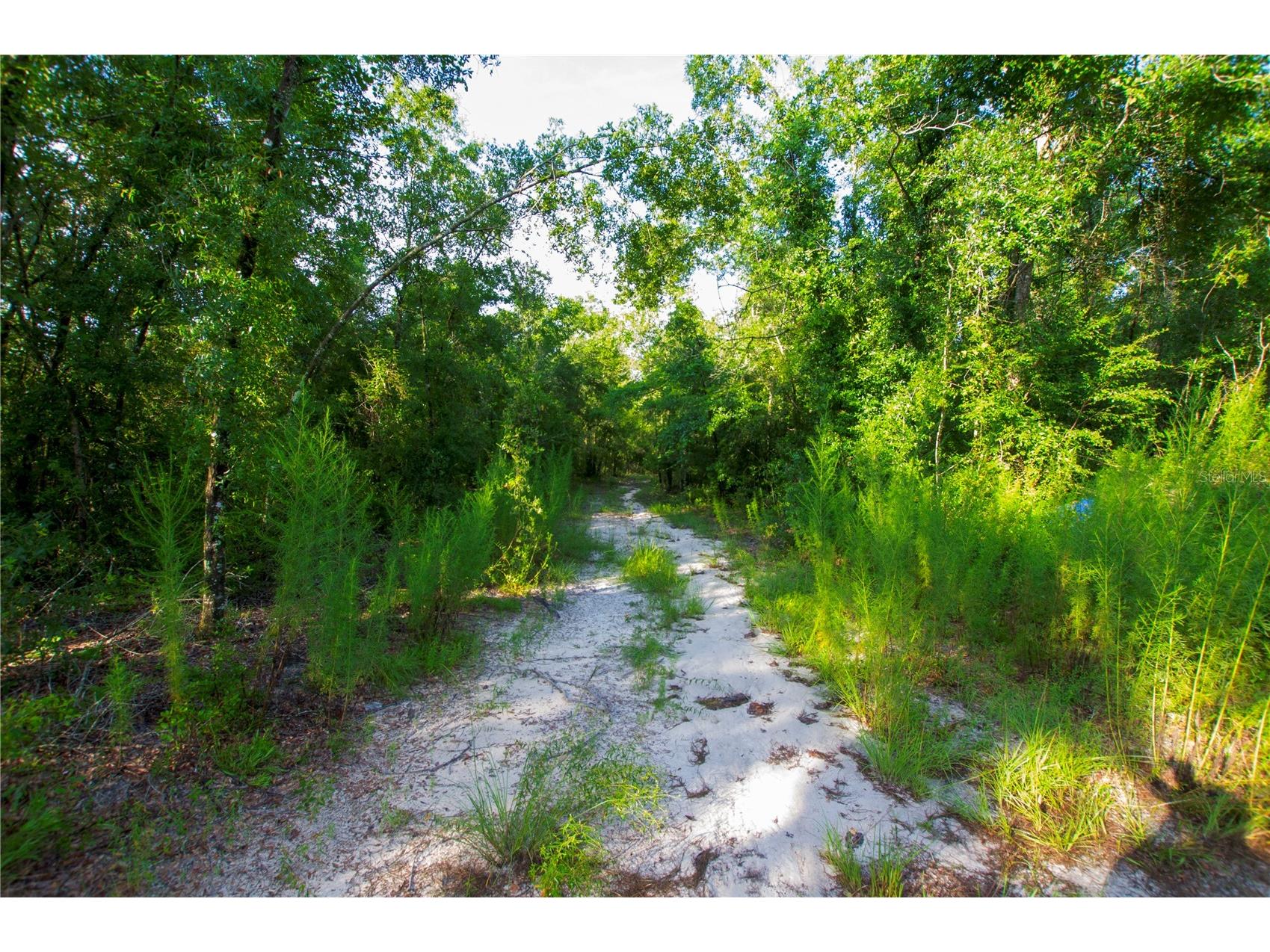 18233 185th Rd Live Oak FL 32060 TB8508929 image57