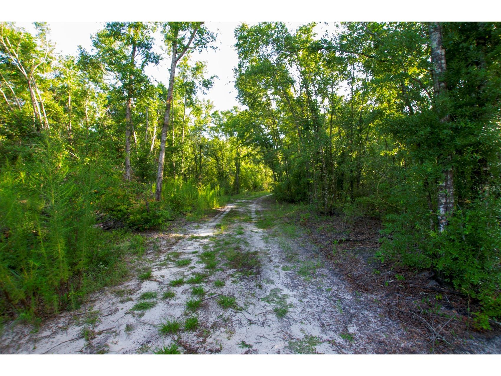 18233 185th Rd Live Oak FL 32060 TB8508929 image58