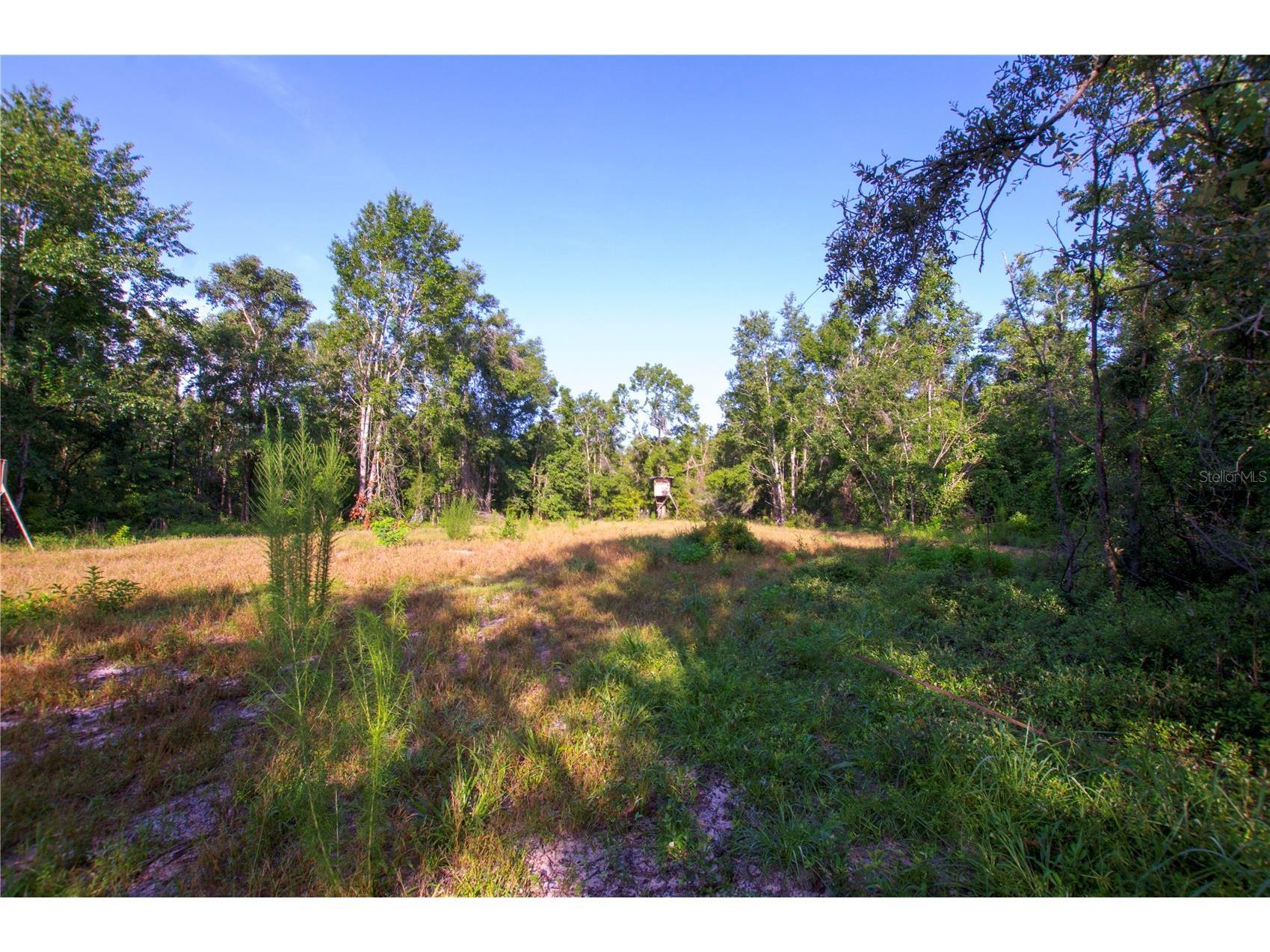 18233 185th Rd Live Oak FL 32060 TB8508929 image59