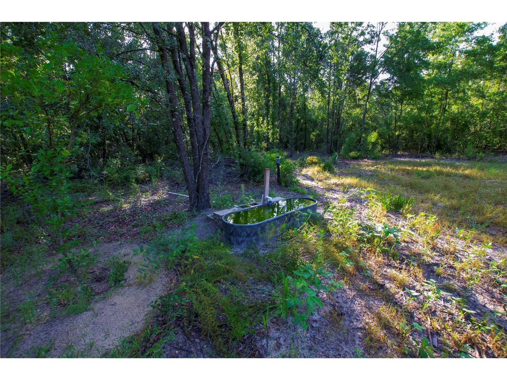 18233 185th Rd Live Oak FL 32060 TB8508929 image60