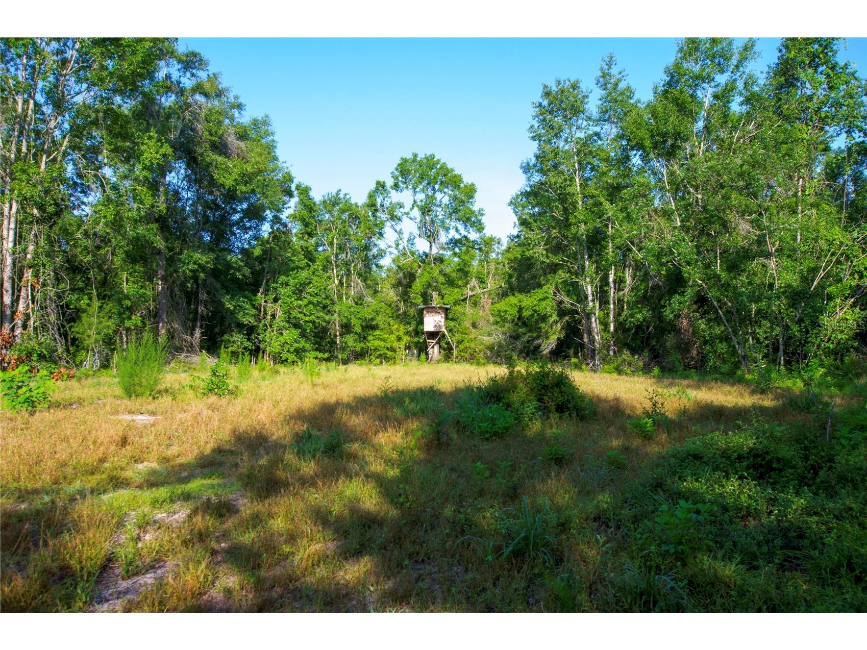 18233 185th Rd Live Oak FL 32060 TB8508929 image61