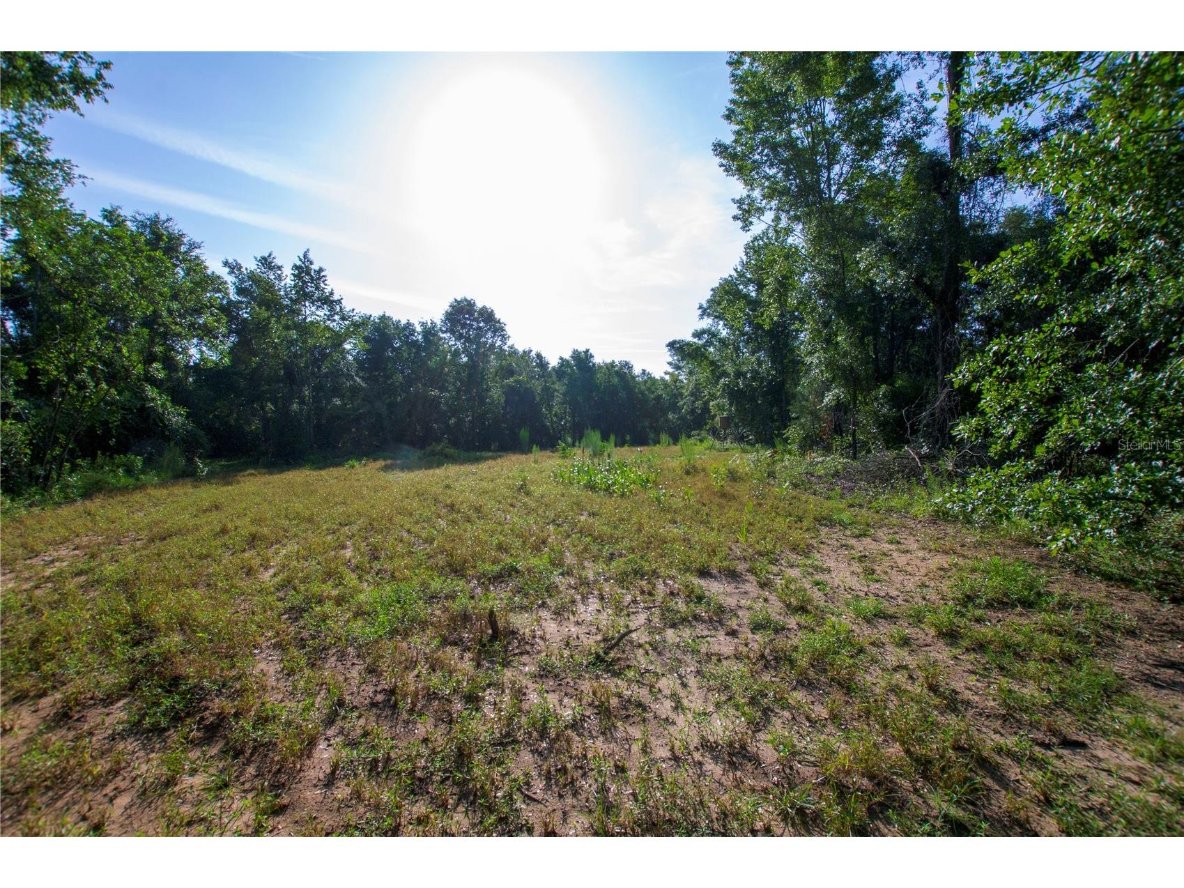 18233 185th Rd Live Oak FL 32060 TB8508929 image63