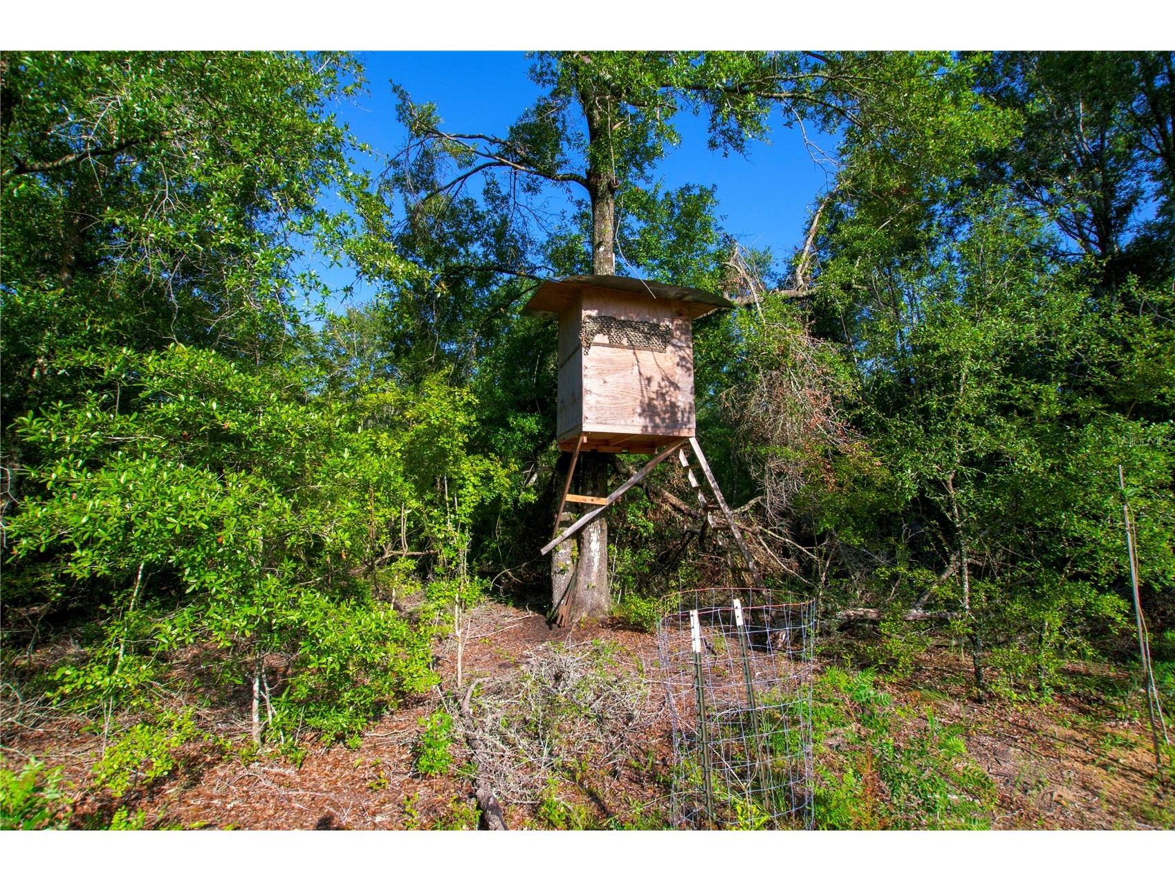 18233 185th Rd Live Oak FL 32060 TB8508929 image64