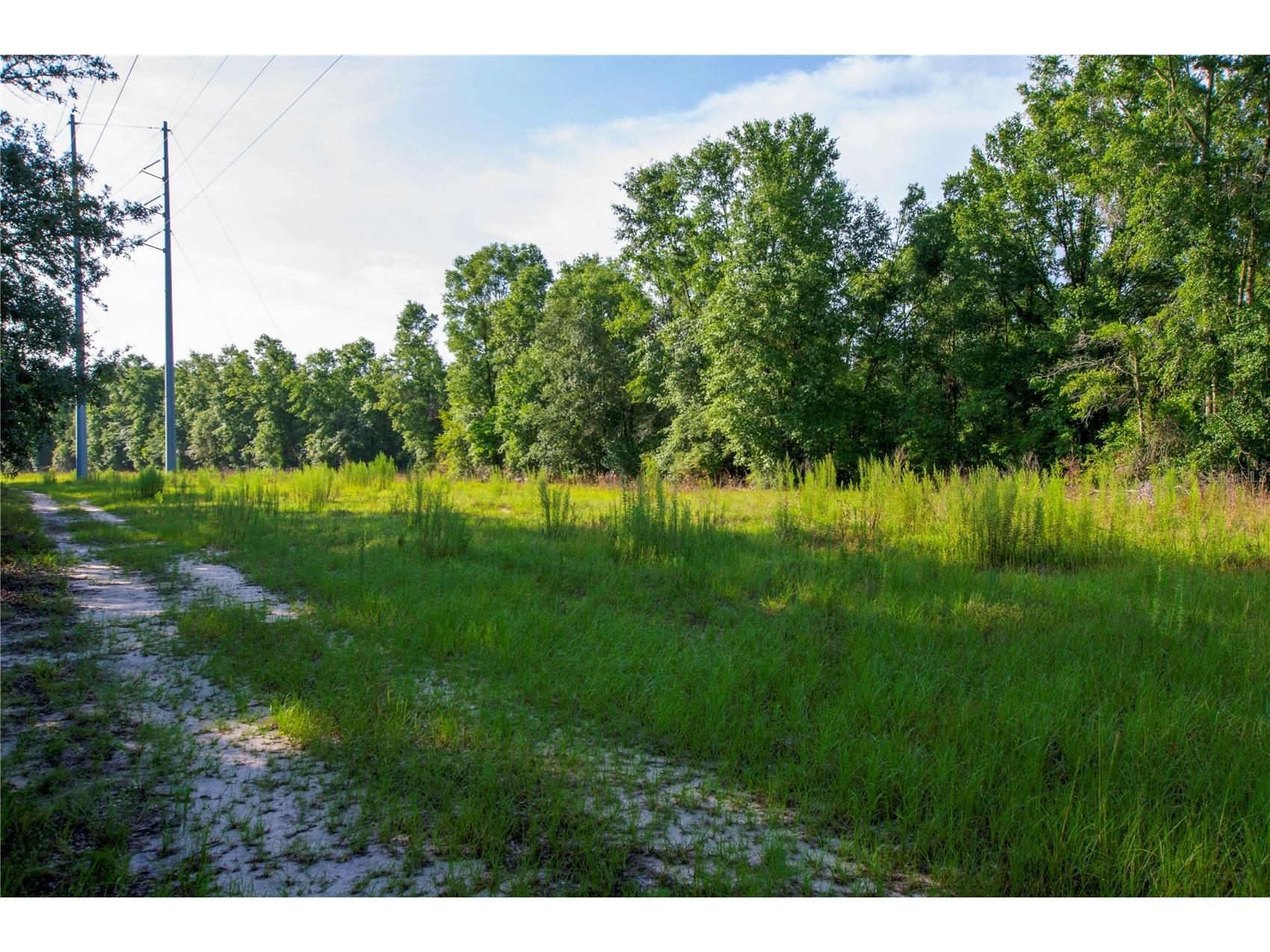 18233 185th Rd Live Oak FL 32060 TB8508929 image65