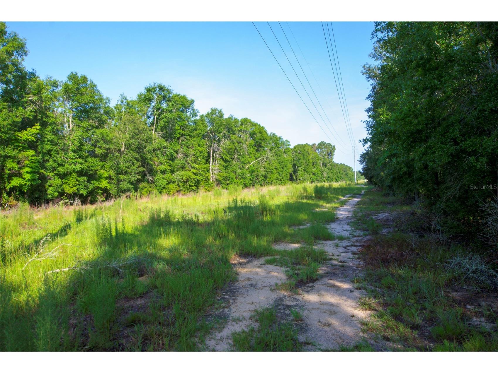 18233 185th Rd Live Oak FL 32060 TB8508929 image66