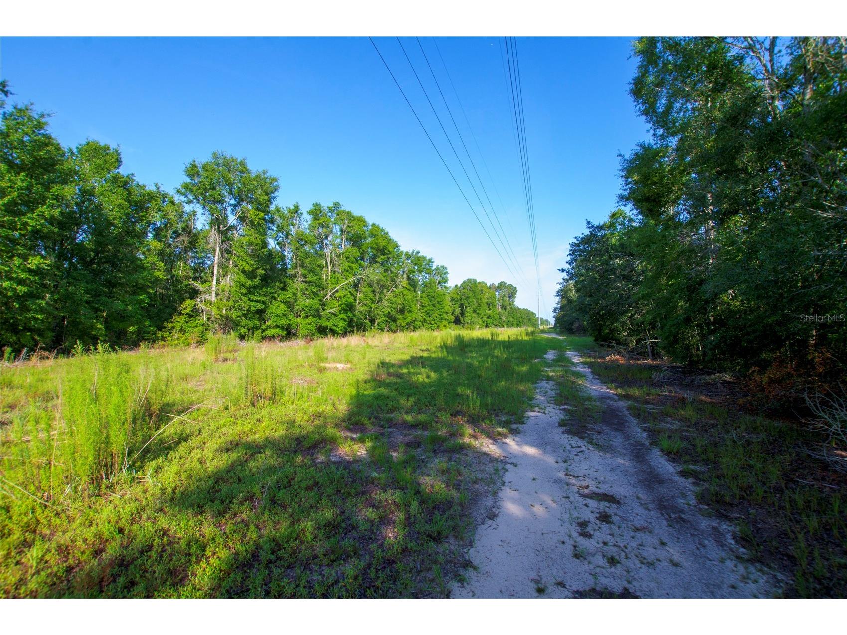 18233 185th Rd Live Oak FL 32060 TB8508929 image67