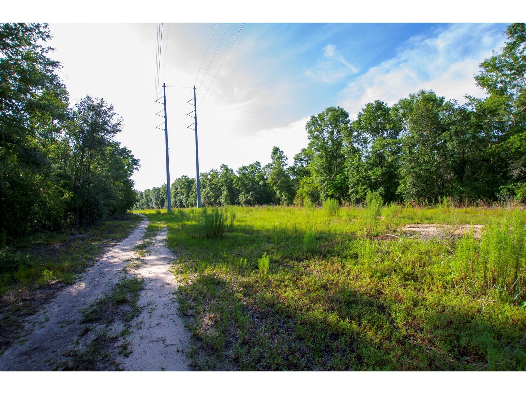 18233 185th Rd Live Oak FL 32060 TB8508929 image68