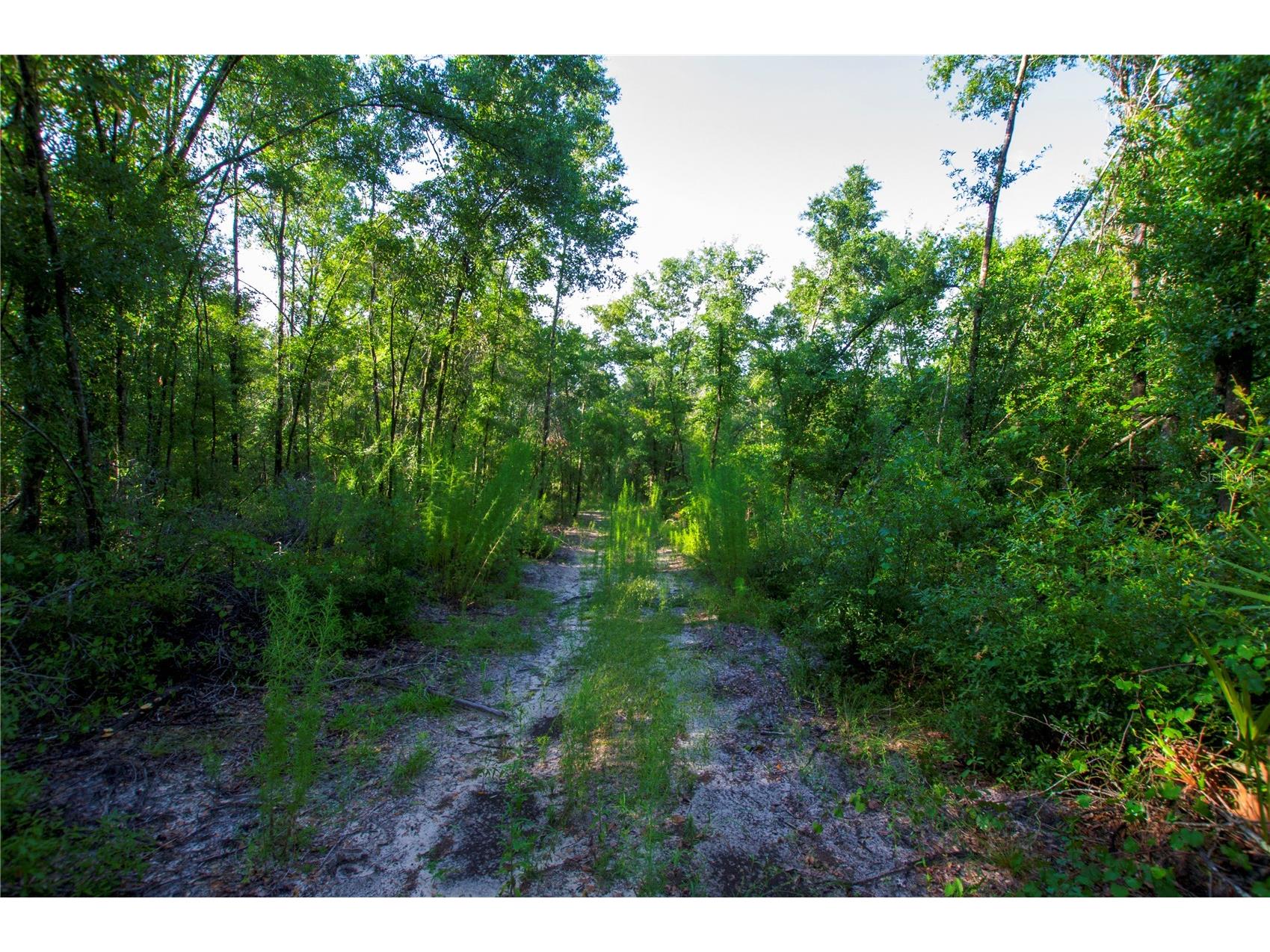 18233 185th Rd Live Oak FL 32060 TB8508929 image69