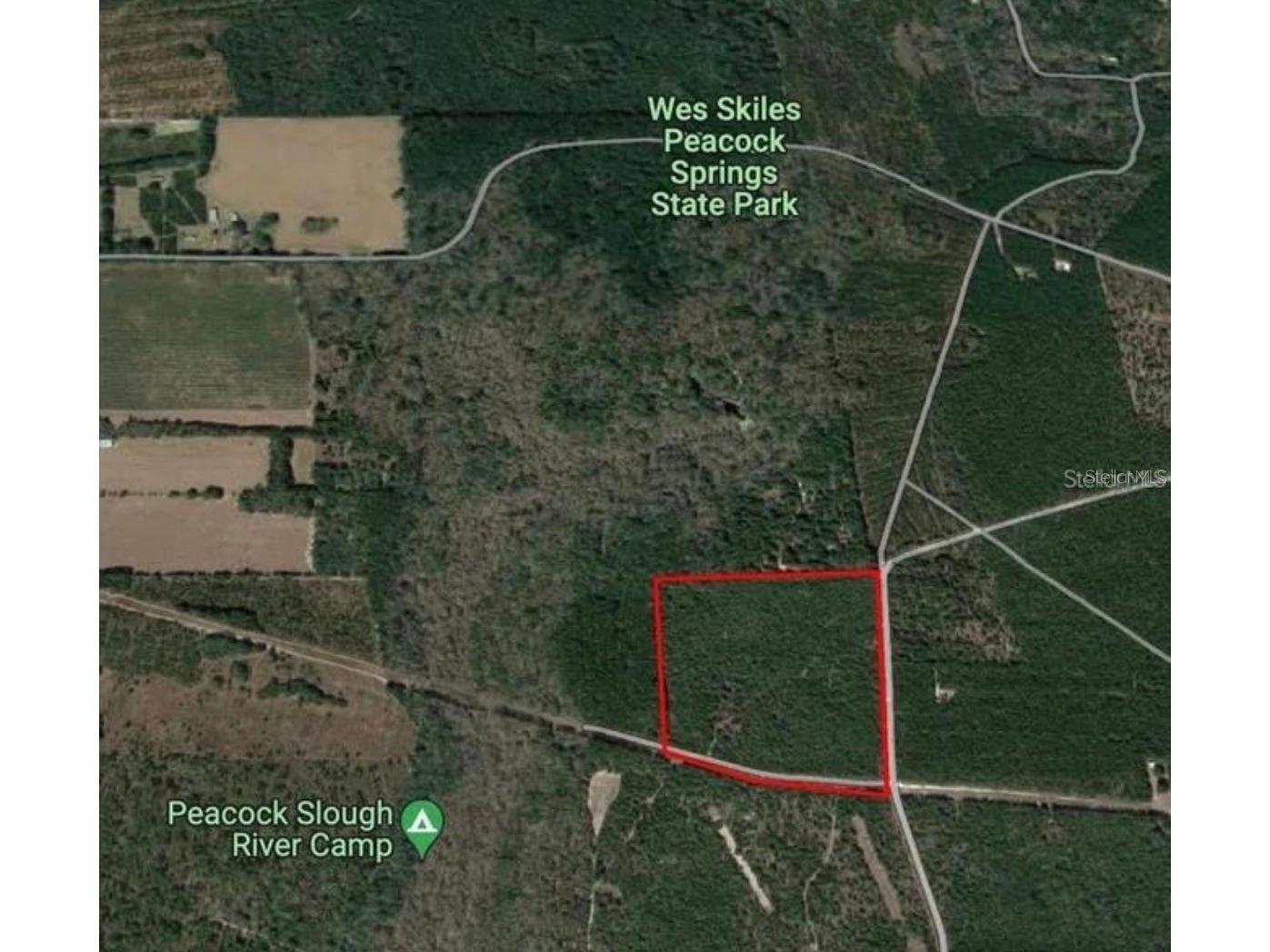 18233 185th Rd Live Oak FL 32060 TB8508929 image7