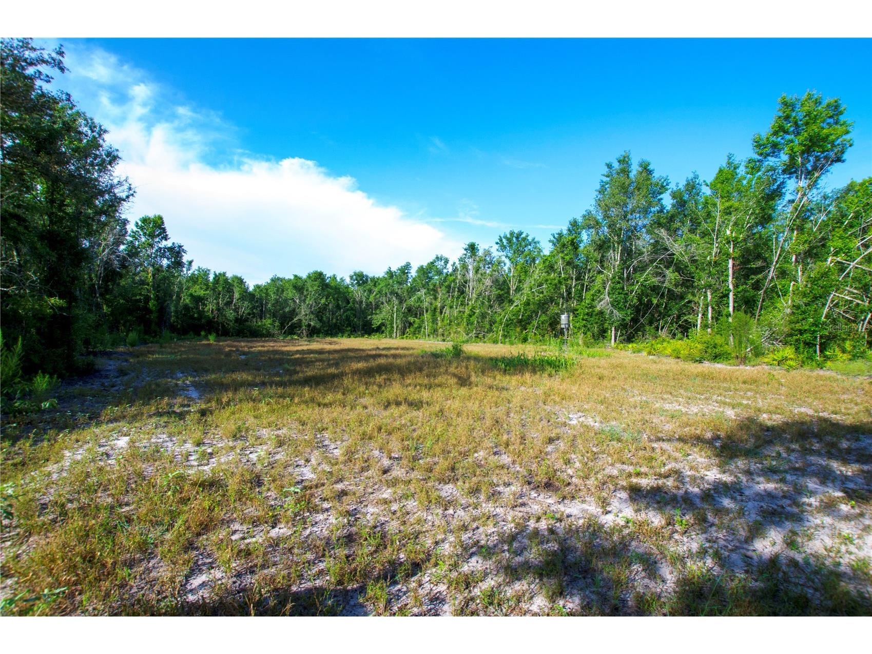 18233 185th Rd Live Oak FL 32060 TB8508929 image70