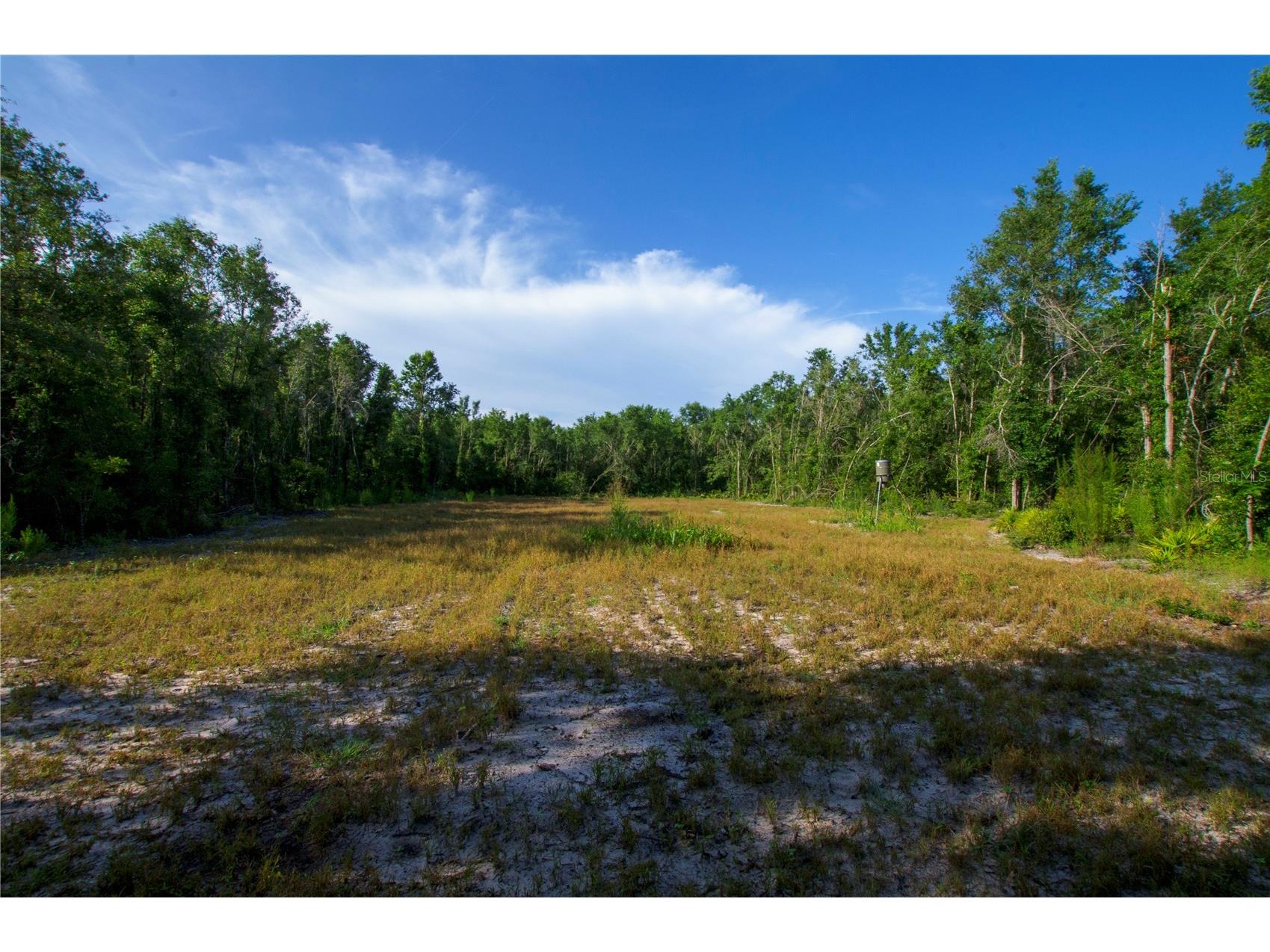 18233 185th Rd Live Oak FL 32060 TB8508929 image71