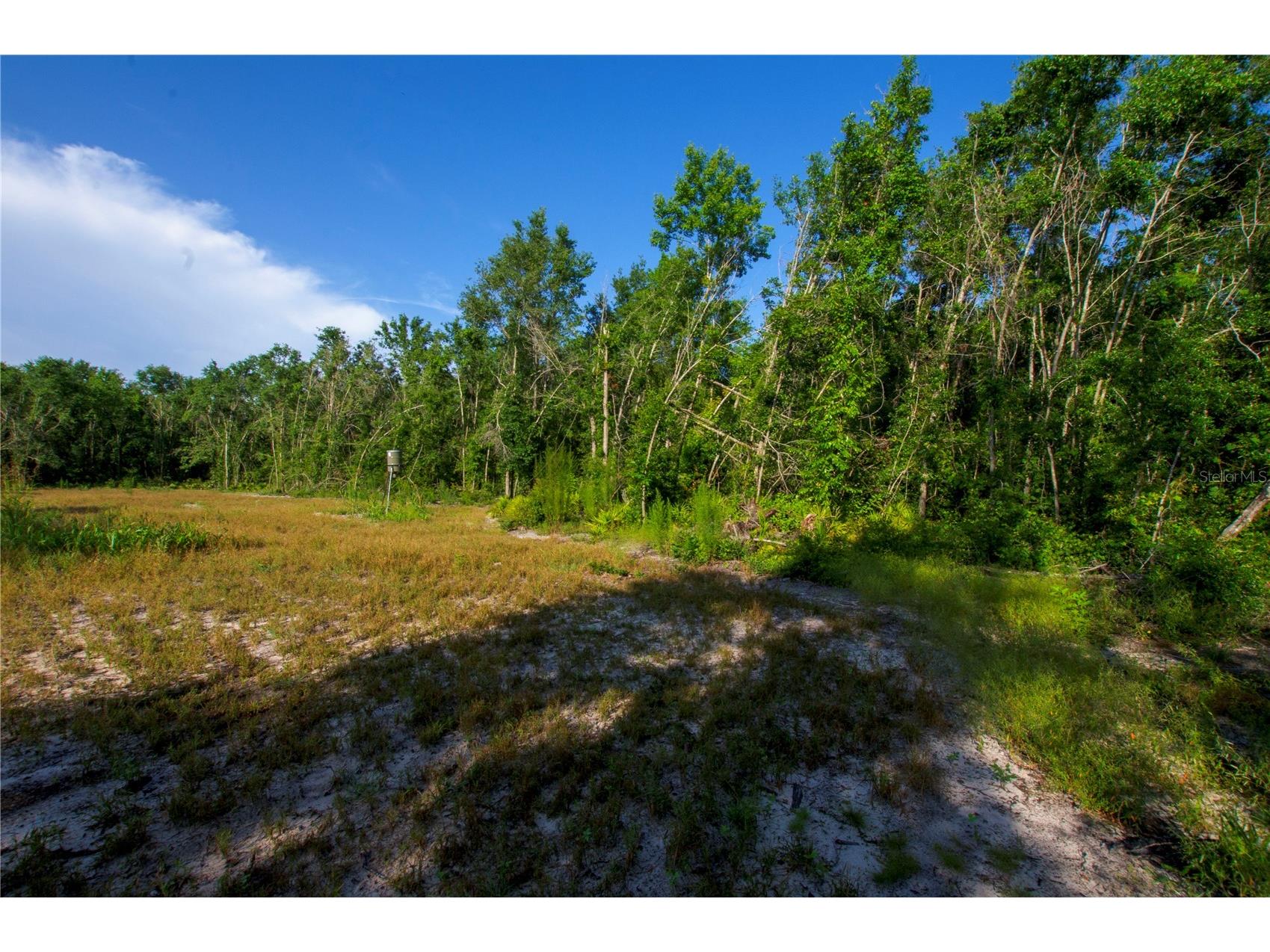 18233 185th Rd Live Oak FL 32060 TB8508929 image72