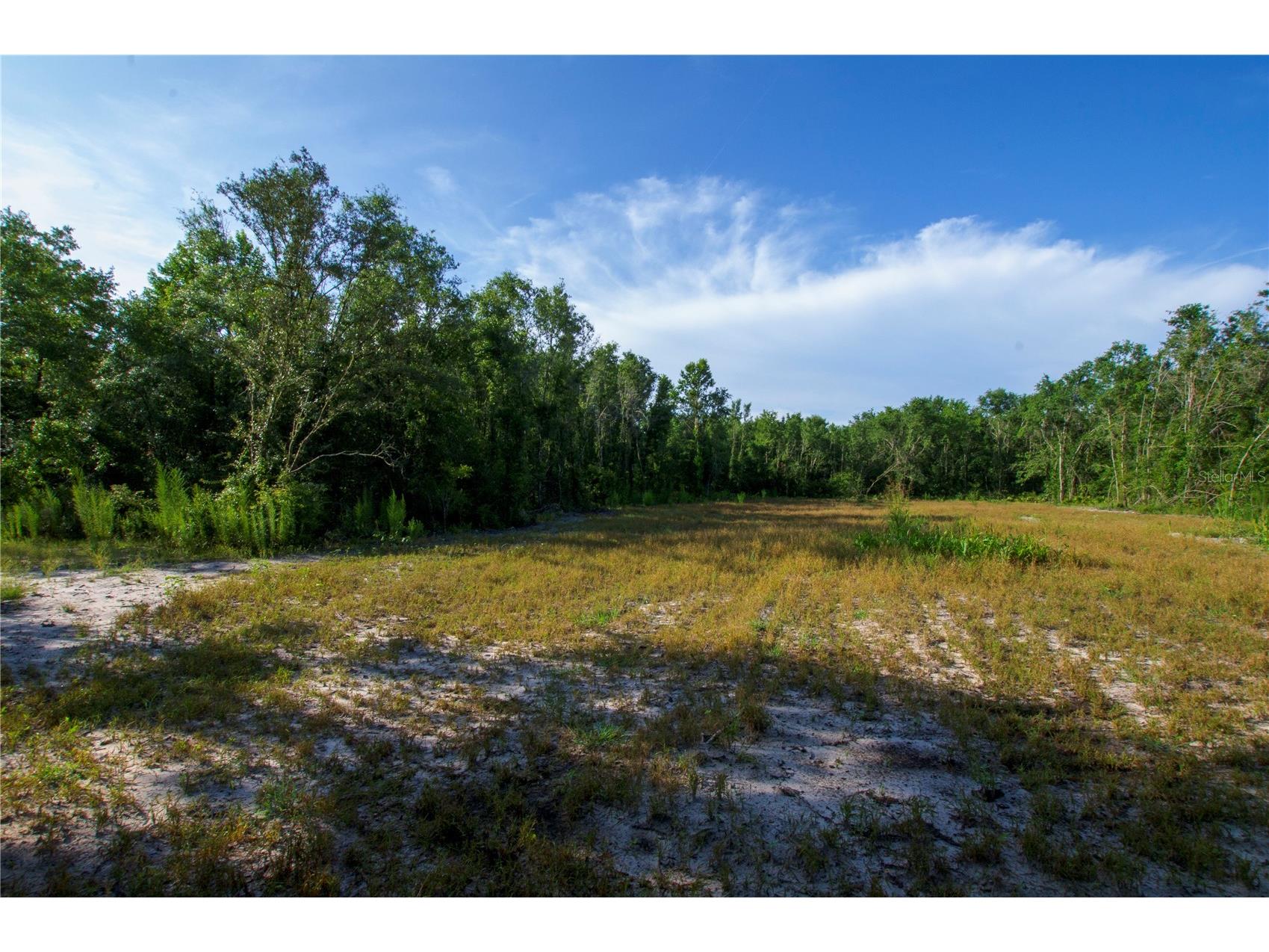 18233 185th Rd Live Oak FL 32060 TB8508929 image73