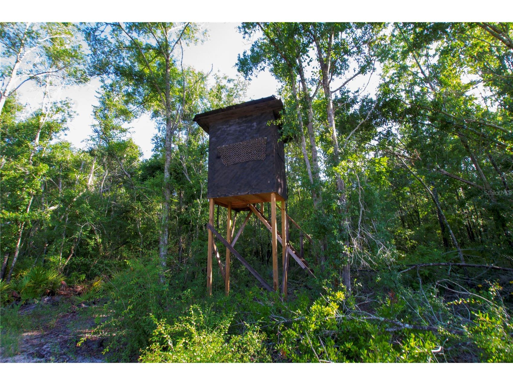 18233 185th Rd Live Oak FL 32060 TB8508929 image74